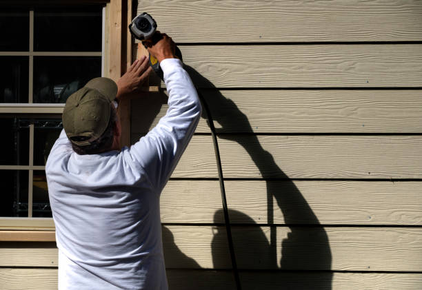 Best Historical Building Siding Restoration  in White Cloud, MI